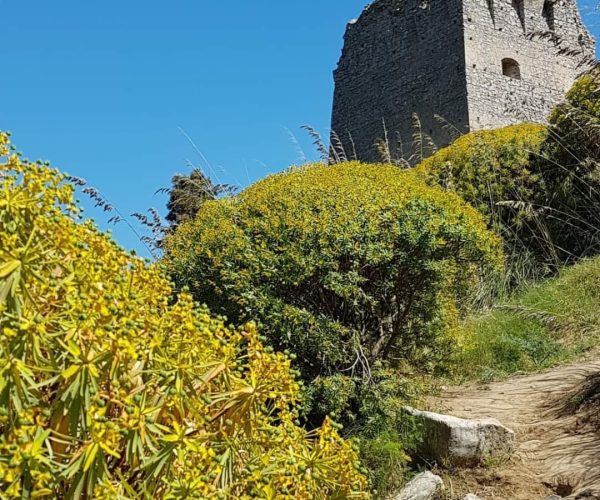 Baia di Ieranto ©FAI Campania