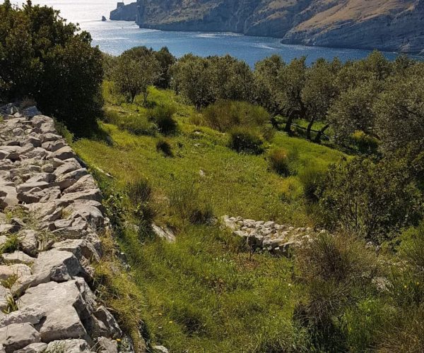 Baia di Ieranto ©FAI Campania